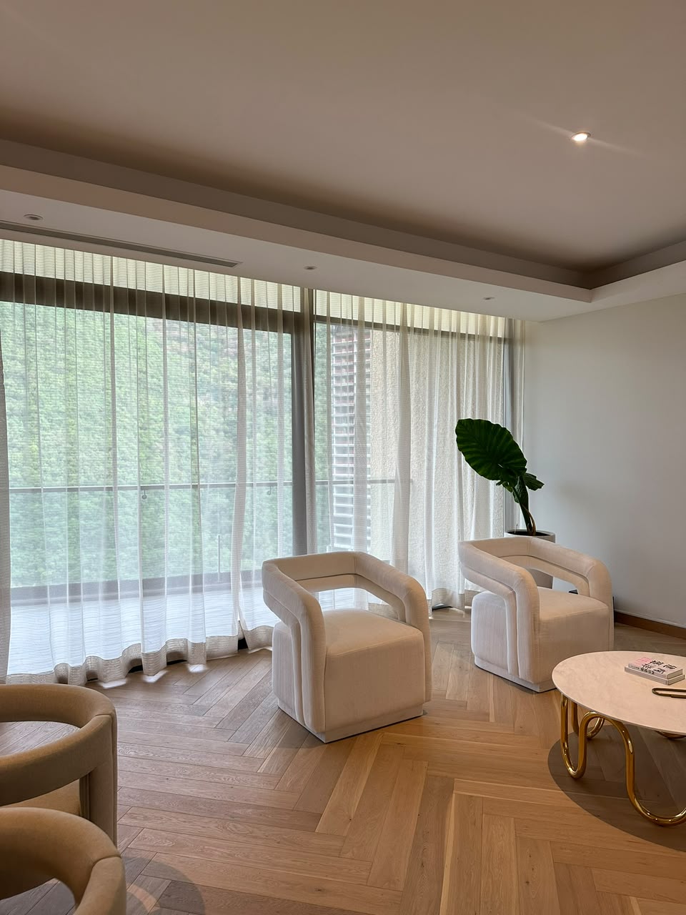 Salas y sillones